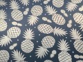 Lifestyle-Pineapple-Metal-Card