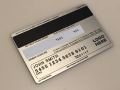 Brushed Stainless Steel Metal (back)