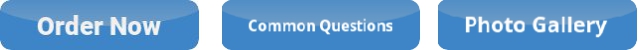 action button